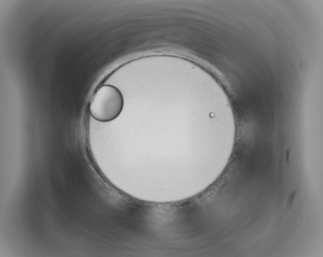 X0000111521514200907141226