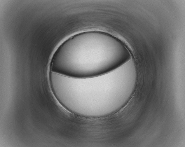 X0000111521516200907141226