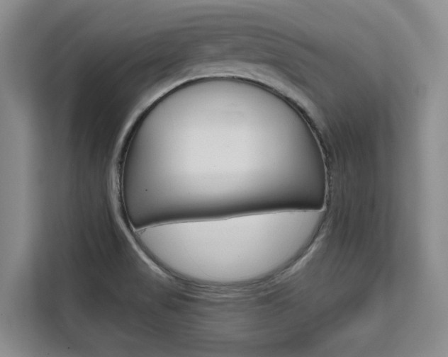 X0000111521517200907141226