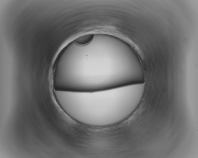X0000111521522200907141226