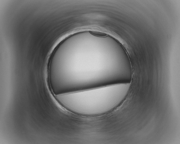X0000111521523200907141226