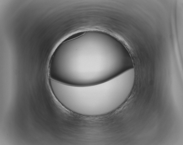 X0000111521524200907141226