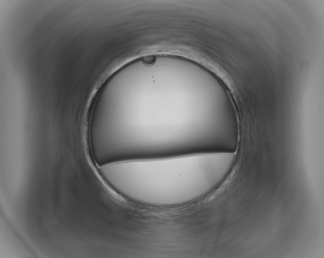 X0000111521525200907141226