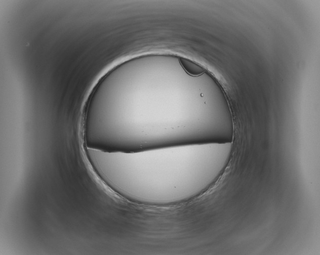 X0000111521526200907141226