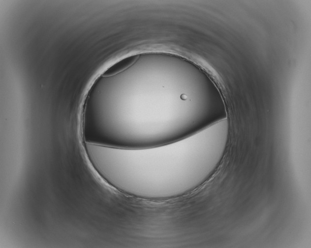 X0000111521528200907141226