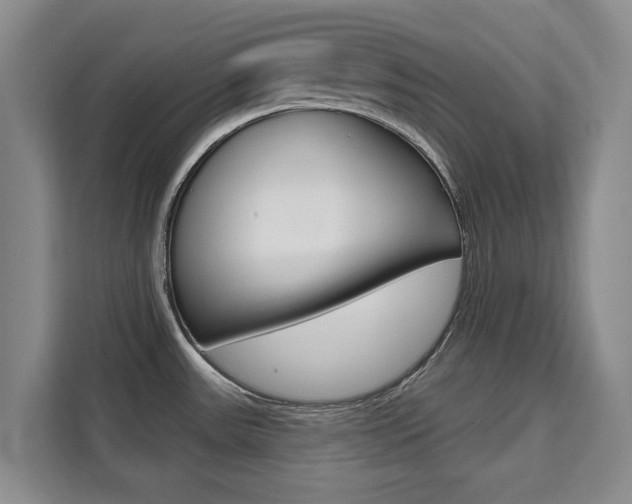 X0000111521531200907141226