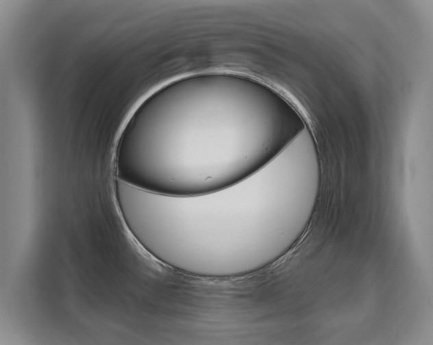 X0000111521532200907141226