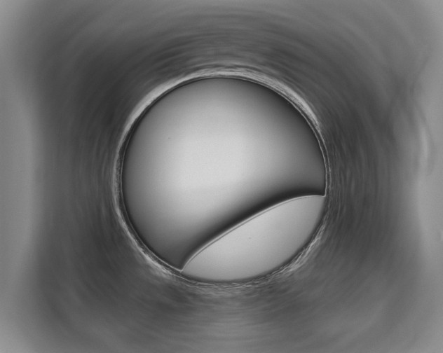 X0000111521533200907141226