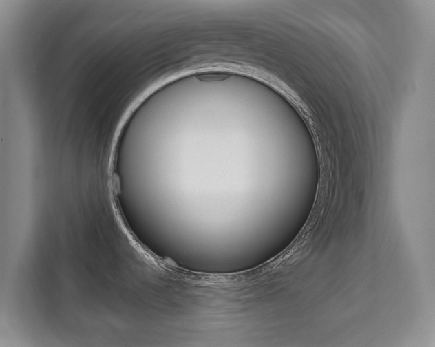 X0000111521536200907141226