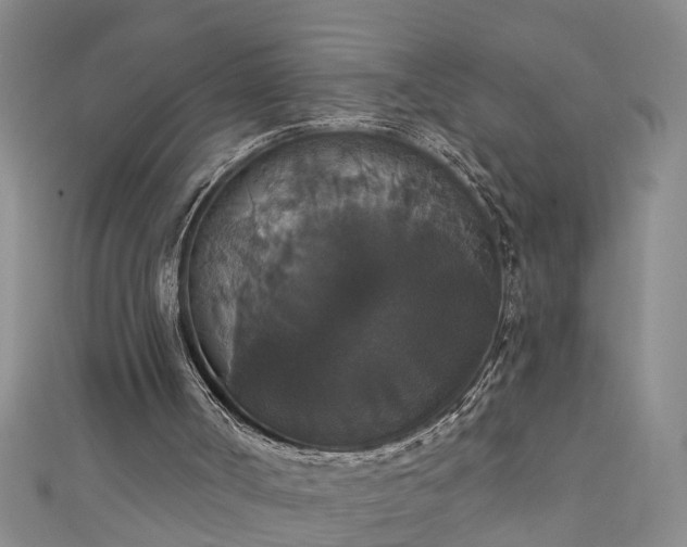 X0000111520002200907141517