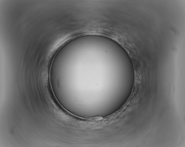 X0000111520005200907141517