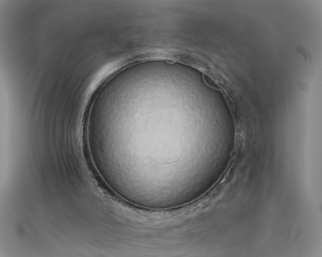 X0000111520006200907141517