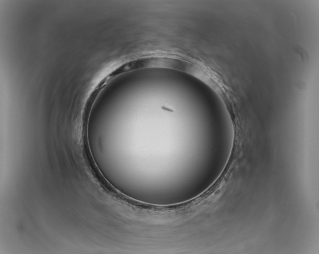 X0000111520008200907141517