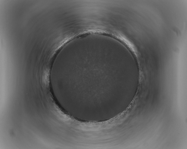 X0000111520009200907141517