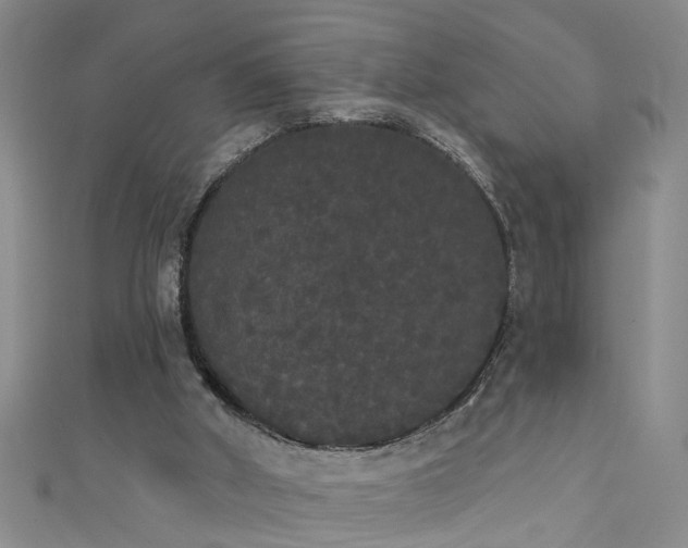 X0000111520010200907141517