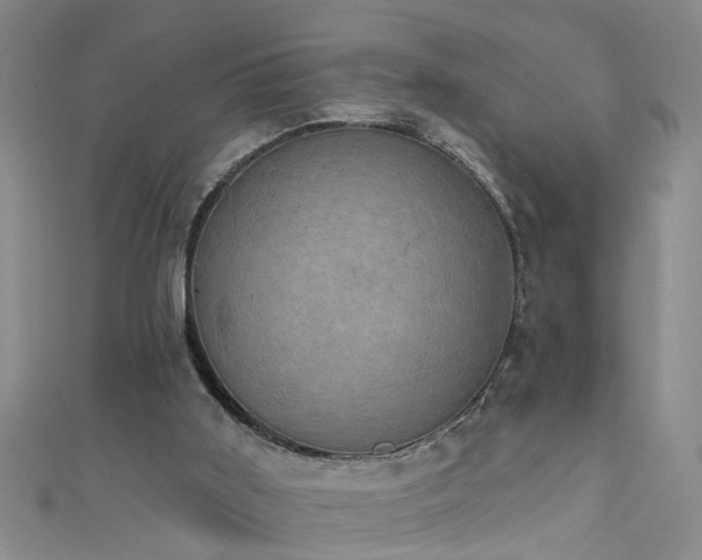 X0000111520011200907141517