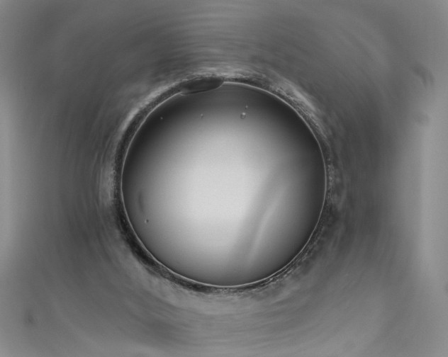 X0000111520012200907141517