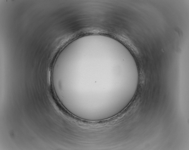 X0000111520014200907141517