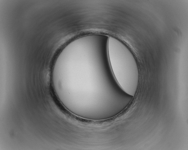 X0000111520016200907141517