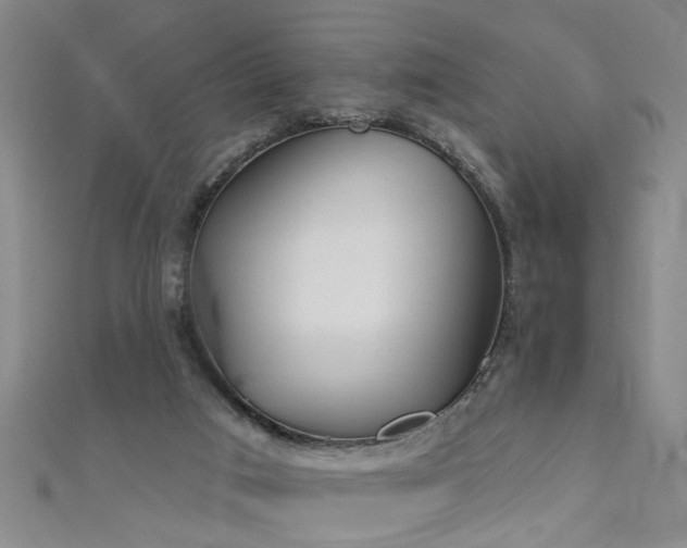 X0000111520017200907141517