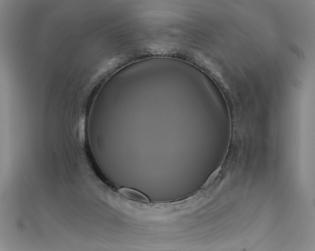 X0000111520019200907141517