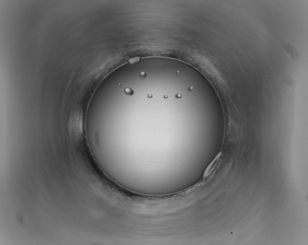 X0000111520021200907141517