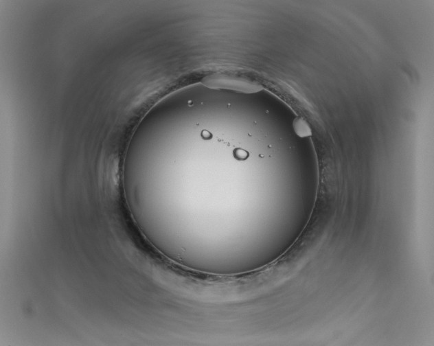 X0000111520024200907141517