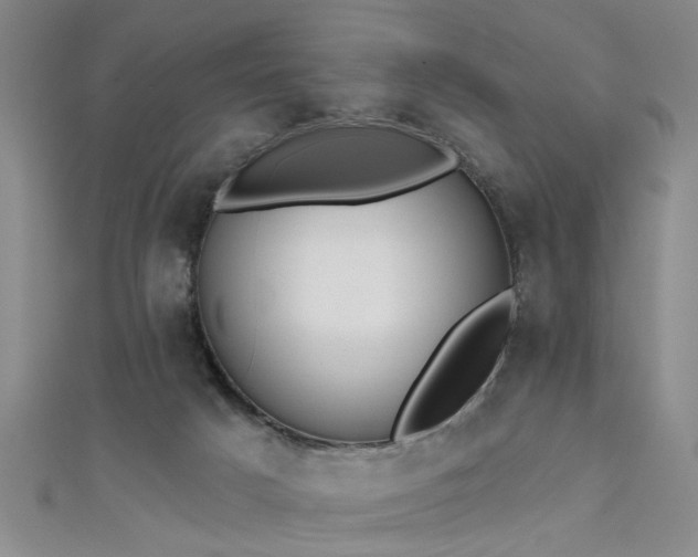 X0000111520025200907141517