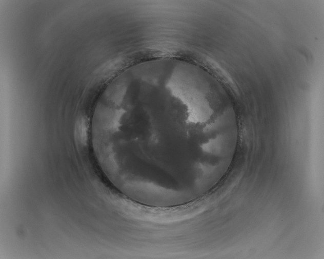 X0000111520026200907141517