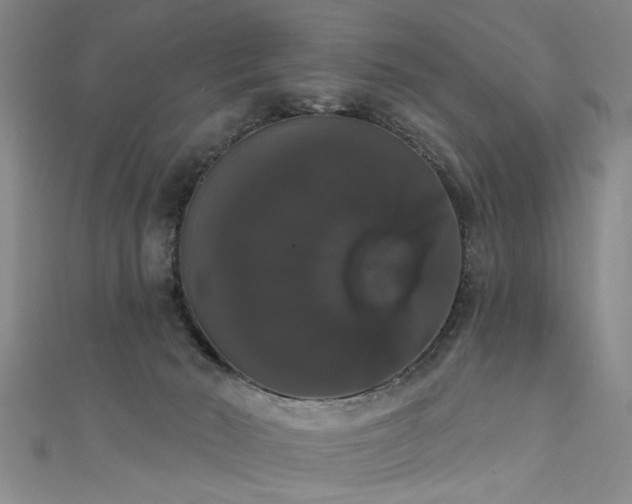 X0000111520030200907141517