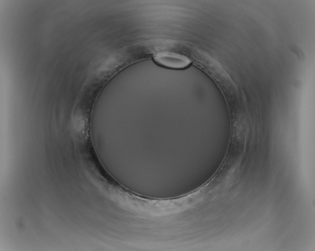 X0000111520031200907141517