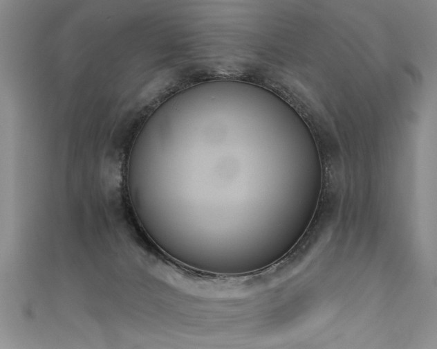 X0000111520032200907141517