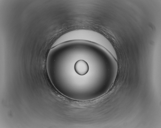 X0000111520033200907141517