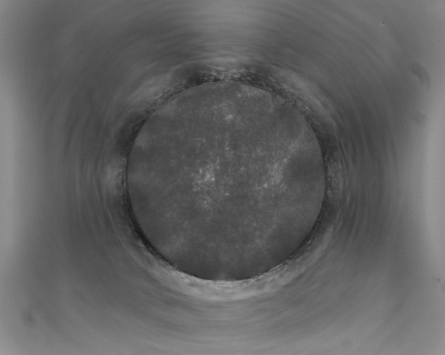 X0000111520034200907141517