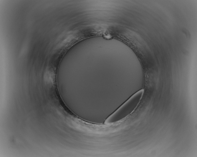 X0000111520035200907141517