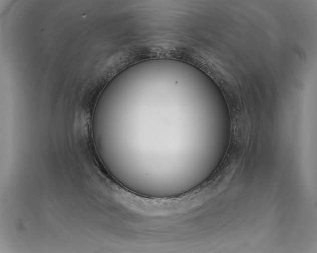 X0000111520038200907141516