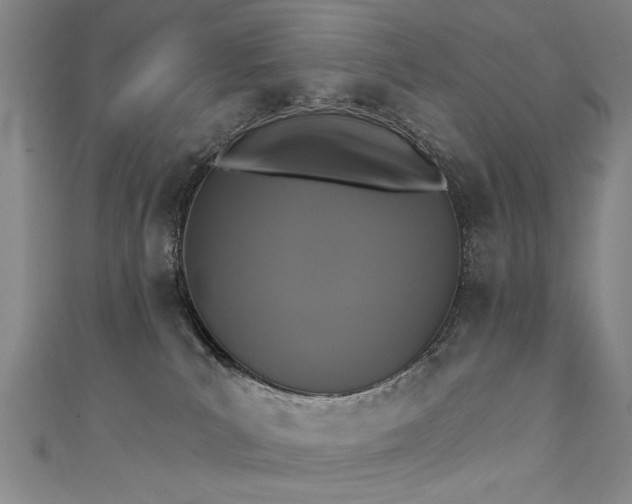 X0000111520039200907141516