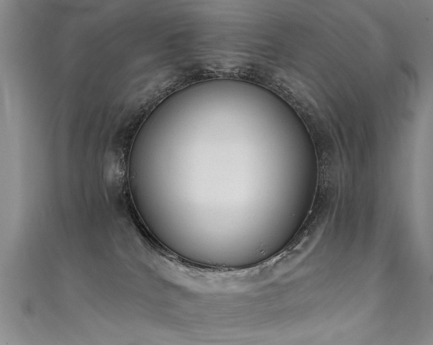 X0000111520040200907141516