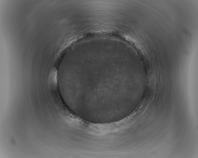 X0000111520041200907141516
