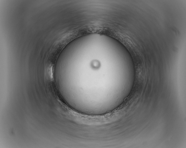 X0000111520042200907141516