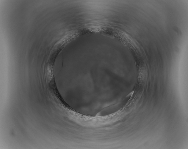 X0000111520043200907141516