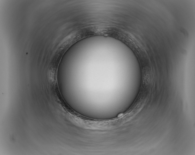 X0000111520044200907141516