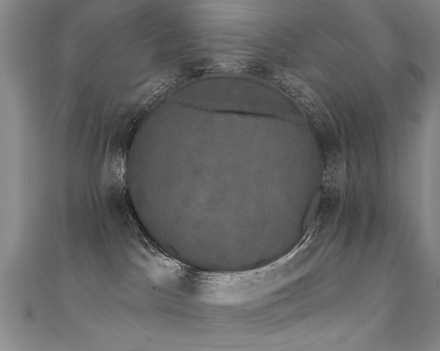 X0000111520045200907141516