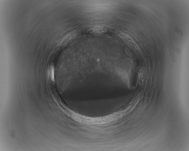 X0000111520046200907141516