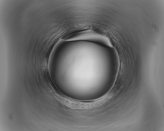 X0000111520048200907141516