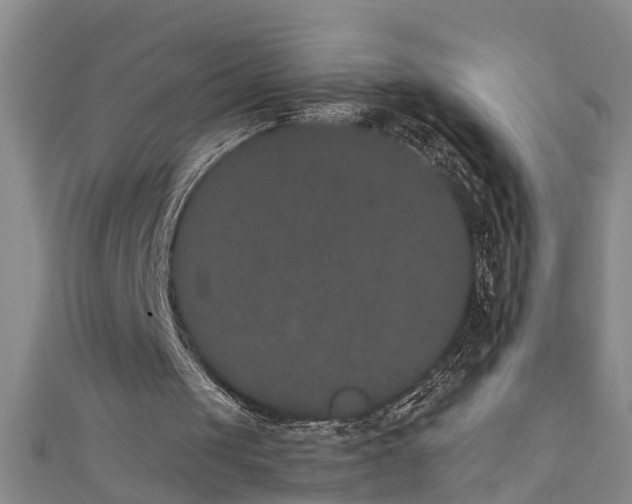 X0000111520049200907141516