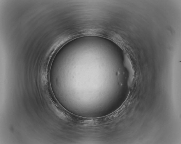 X0000111520050200907141516