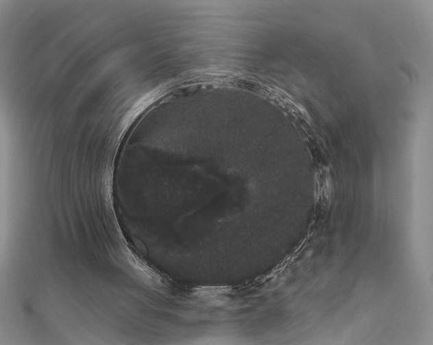 X0000111520051200907141516
