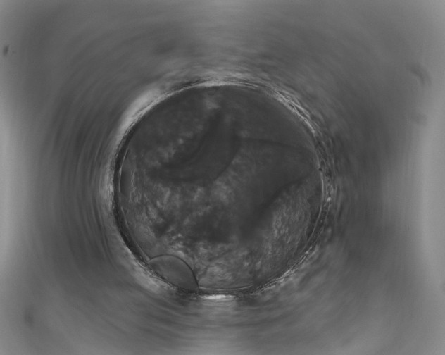 X0000111520053200907141516