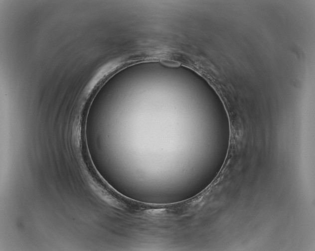 X0000111520054200907141516